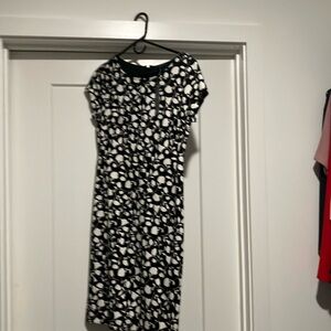 NWT Ann Taylor black and white print dress/zip back